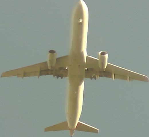 Airplane Picture