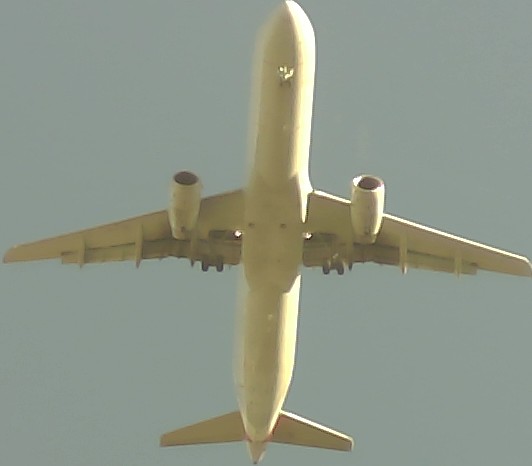 Airplane Picture