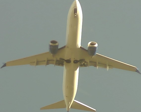 Airplane Picture