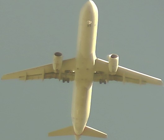 Airplane Picture