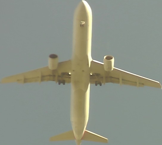 Airplane Picture