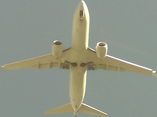 Airplane Picture