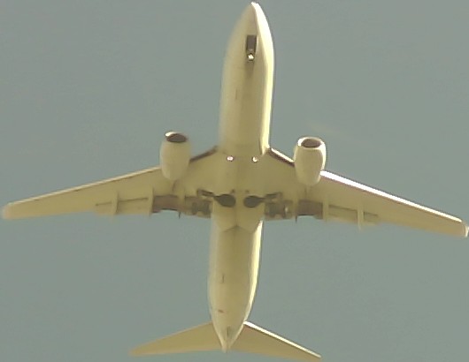 Airplane Picture