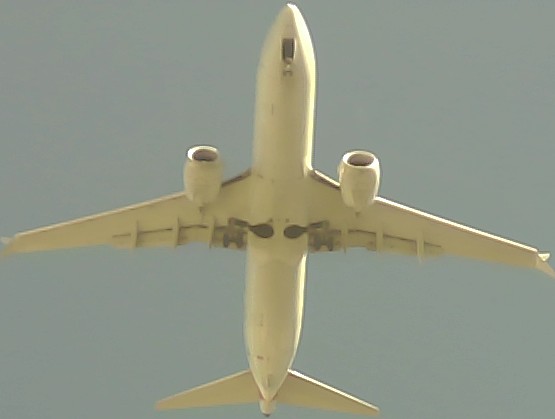 Airplane Picture
