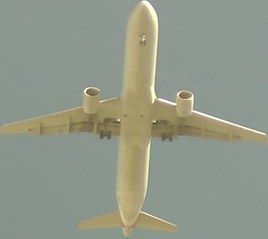 Airplane Picture