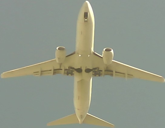 Airplane Picture