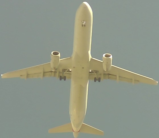 Airplane Picture