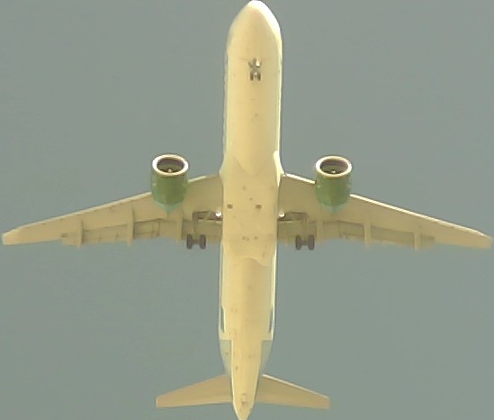 Airplane Picture