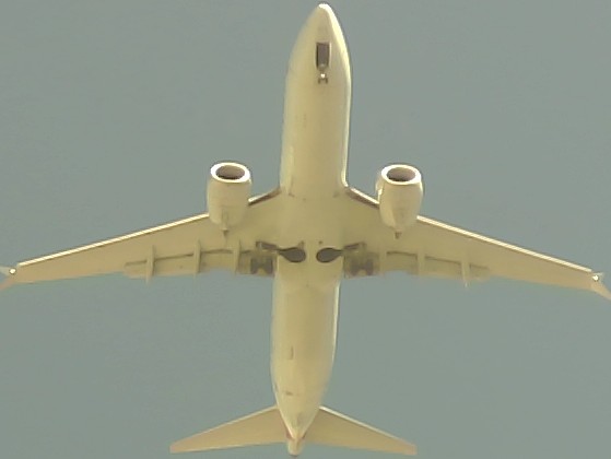 Airplane Picture