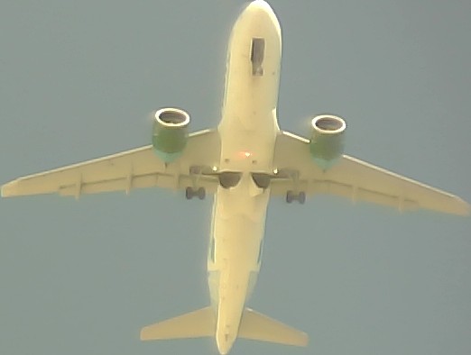 Airplane Picture