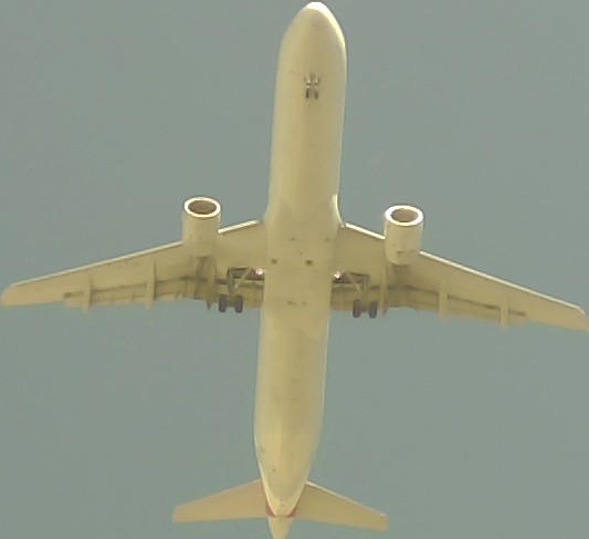 Airplane Picture