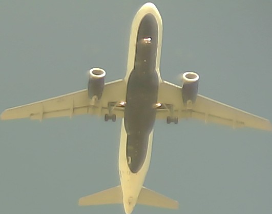 Airplane Picture