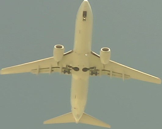 Airplane Picture