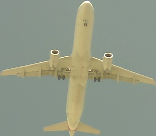 Airplane Picture