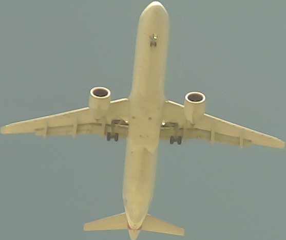 Airplane Picture