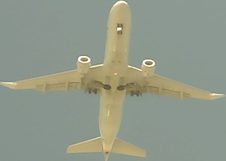 Airplane Picture