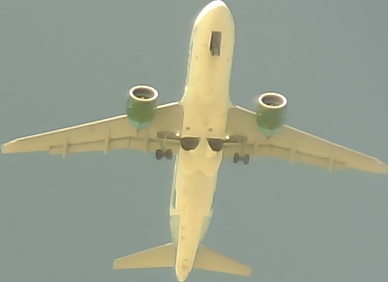 Airplane Picture