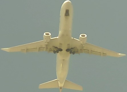 Airplane Picture