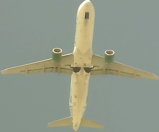 Airplane Picture