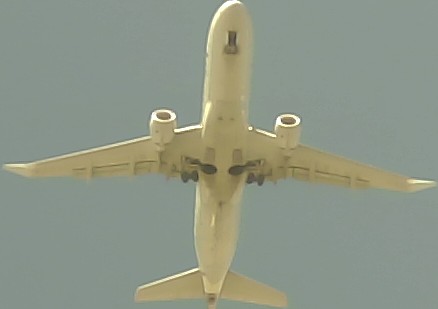 Airplane Picture