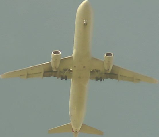 Airplane Picture