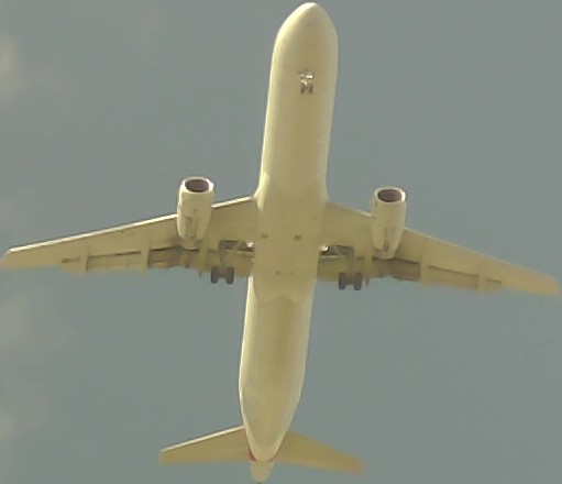 Airplane Picture