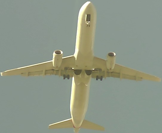 Airplane Picture