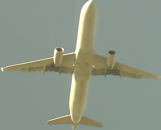 Airplane Picture