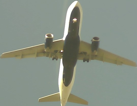 Airplane Picture