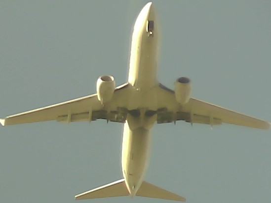 Airplane Picture