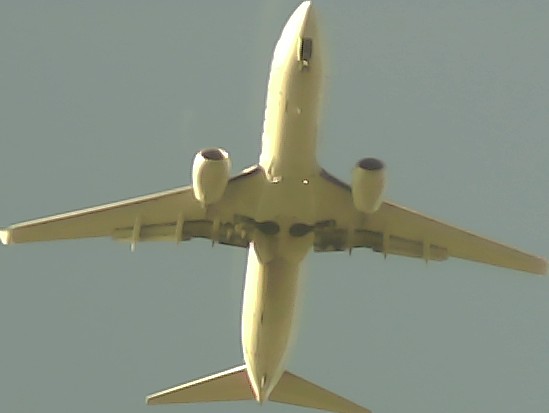 Airplane Picture