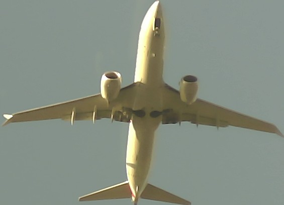 Airplane Picture