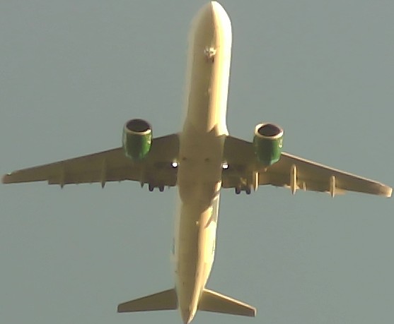 Airplane Picture