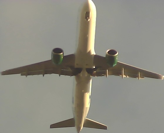 Airplane Picture