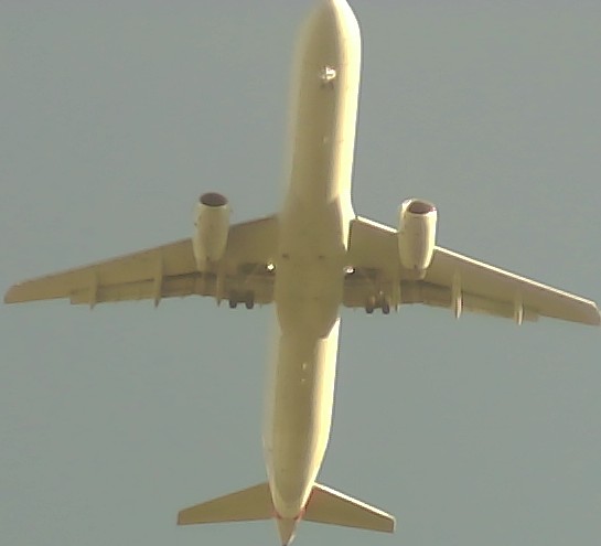 Airplane Picture