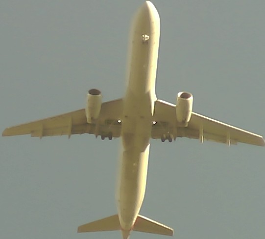 Airplane Picture