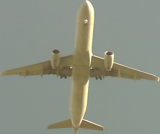 Airplane Picture