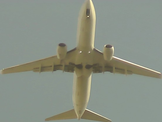 Airplane Picture