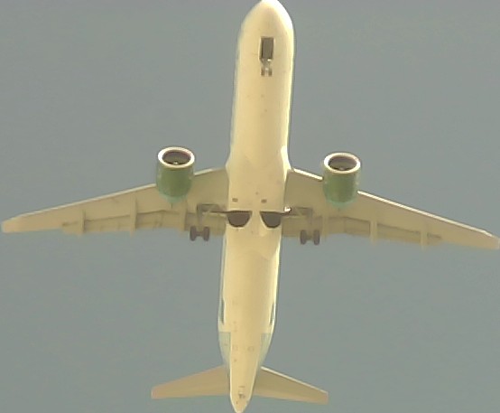 Airplane Picture