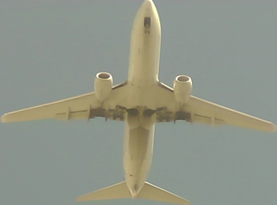 Airplane Picture