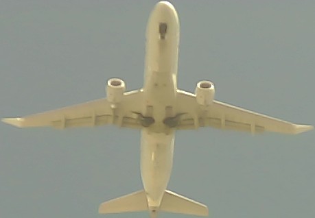 Airplane Picture
