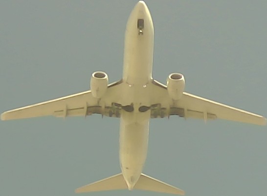 Airplane Picture
