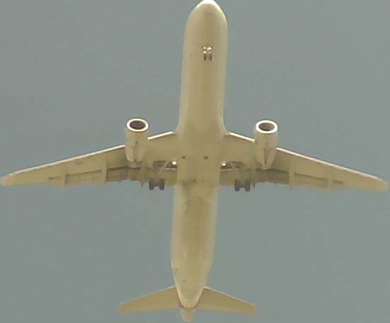 Airplane Picture