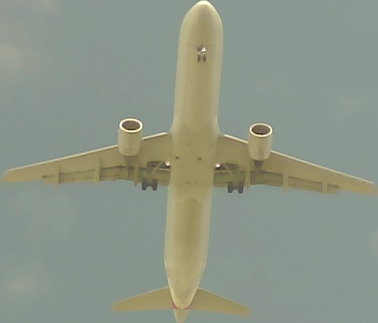 Airplane Picture