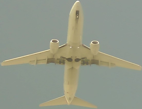 Airplane Picture