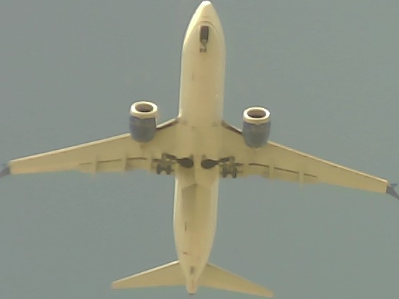 Airplane Picture
