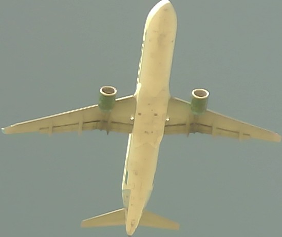 Airplane Picture