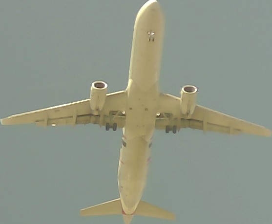 Airplane Picture