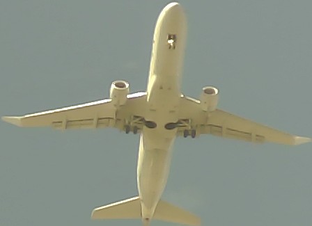 Airplane Picture