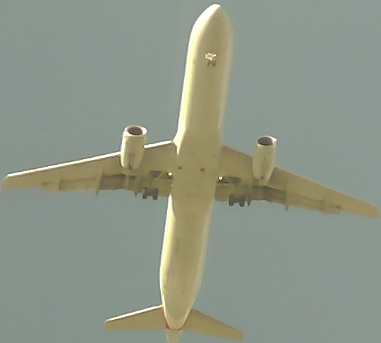 Airplane Picture